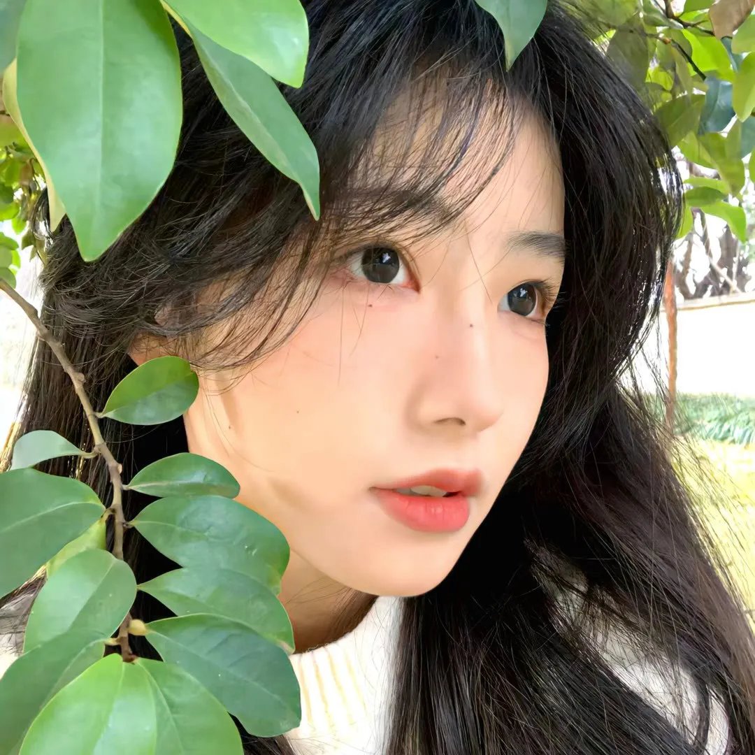 菩提树